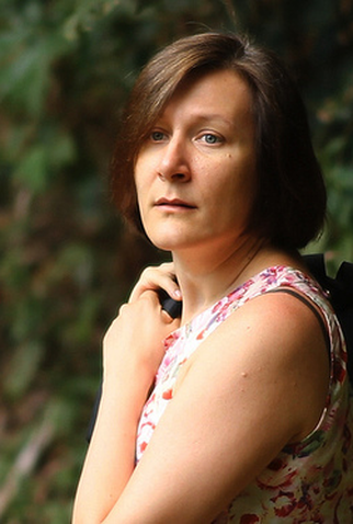 Poster 1 de Curta Os Sapos (2011)