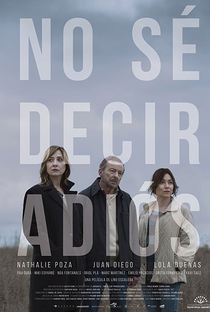 Não Sei Dizer Adeus - Poster / Capa / Cartaz - Oficial 1