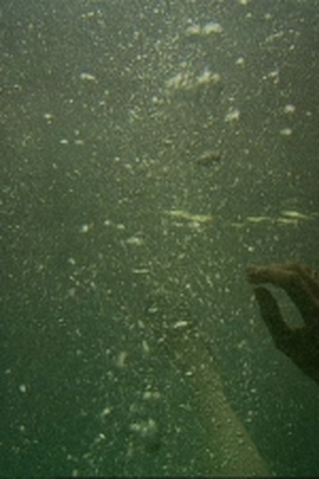 Poster de Episódio Here I Am (2007)