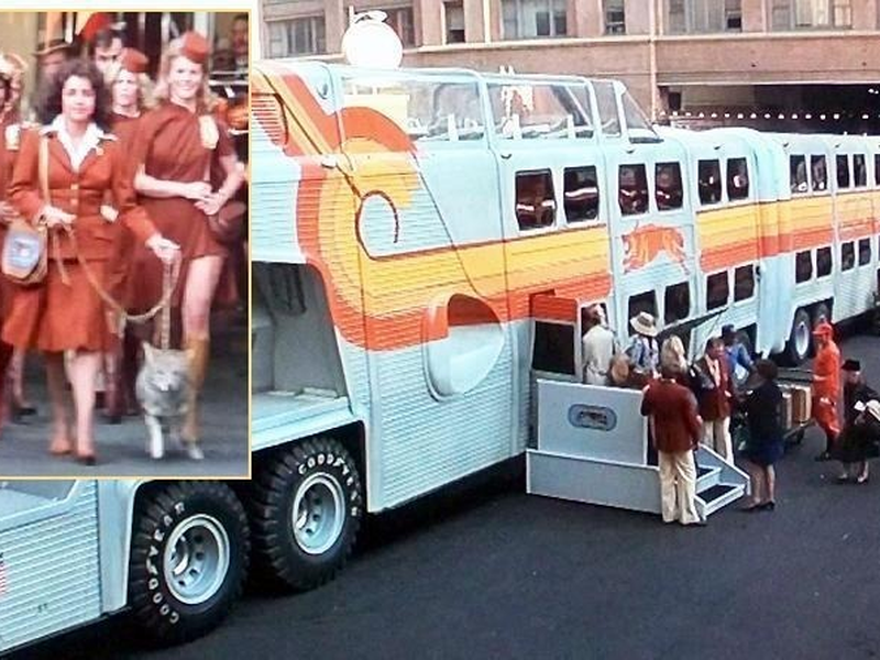 Foto 3 de As Incríveis Peripécias do Ônibus Atômico