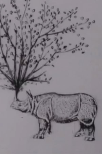 Poster de Curta Rhinomorphose (1965)