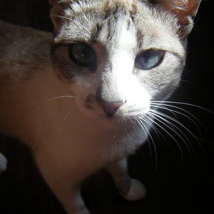 Foto de perfil de Elena G.