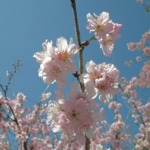 Foto de perfil de Ana Paula B Gonçalves