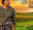Another Life