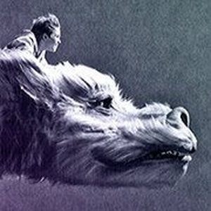 Foto de perfil de Rafael Amaral