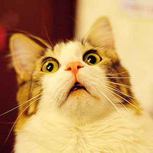 Foto de perfil de Italo