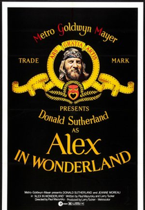 Um Doido Genial (Alex in Wonderland)