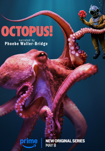 Polvo! (Octopus!)