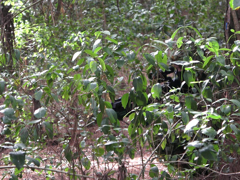 Foto 2 de Sniper Português