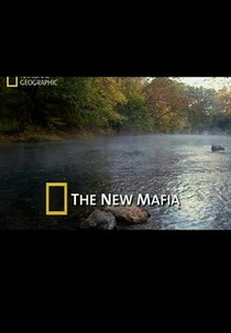 A Nova Máfia (The new Mafia)