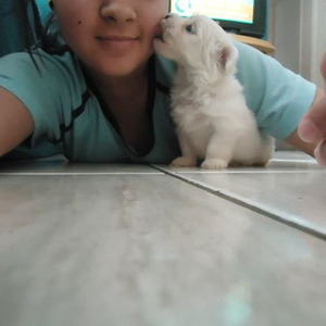 Foto de perfil de Nayra Sousa