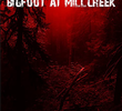 Bigfoot at Millcreek