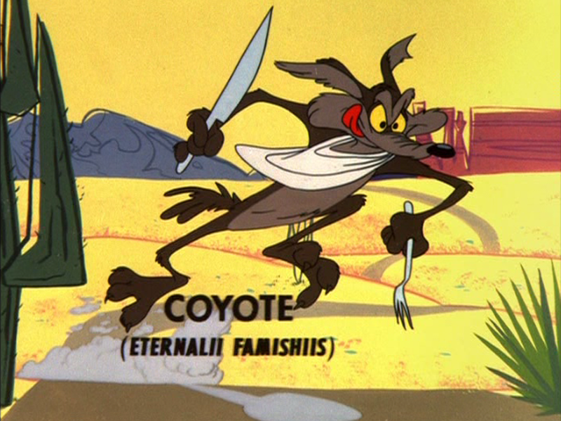 Foto 8 de Rolo Compressor