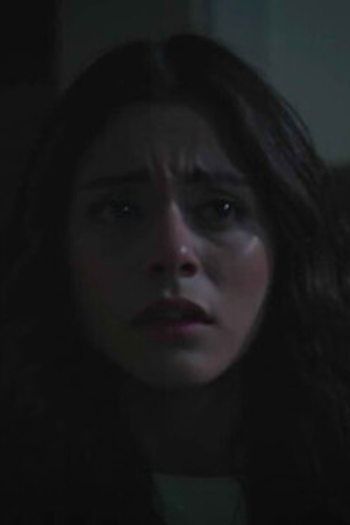 Poster de Episódio 63. Bölüm (2020)