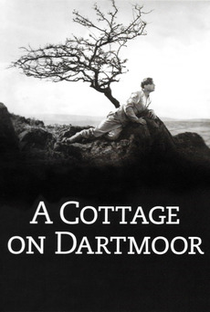 Uma Casa em Dartmoor - Poster / Capa / Cartaz - Oficial 1
