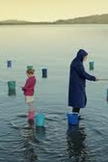 Folha em Branco (Folha em Branco)