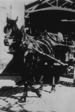 A Saída dos Operários da Fábrica Lumière, [II] (Sortie d’usine, [III])