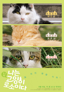 Sou Um Gato (나는 고양이로소이다)