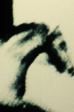 The Exquisite Hour (The Exquisite Hour)