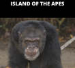 Planeta dos Macacos - O Confronto Apresenta - Island of The Apes