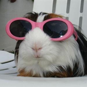 Foto de perfil de Inês