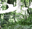 Into the Mountain