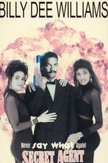 Poster de Filme O Agente Secreto (1990)
