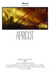 Apricot (Apricot)