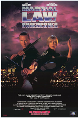 Leis Marciais 2 (Martial Law 2 - Undercover)