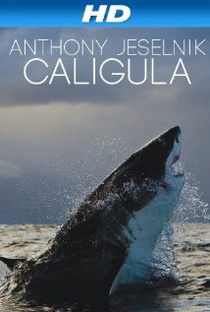 Anthony Jeselnik: Caligula - Poster / Capa / Cartaz - Oficial 1