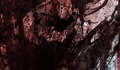 Revelado um novo cartaz do terror A Entidade.