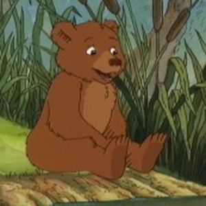 Foto de perfil de Nelson