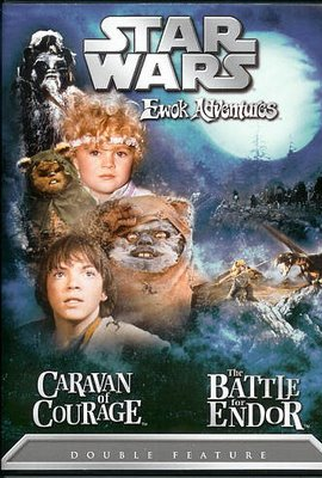 Poster 6 de Filme Caravana da Coragem (1984)