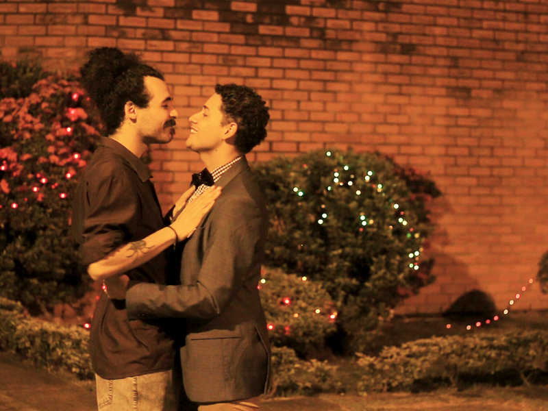 Foto 3 de Uvas Passas