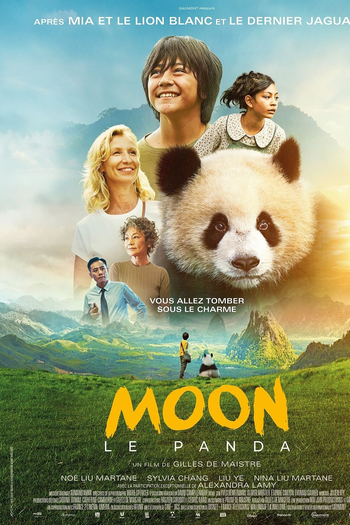  de Filme O Menino e o Panda (2025)