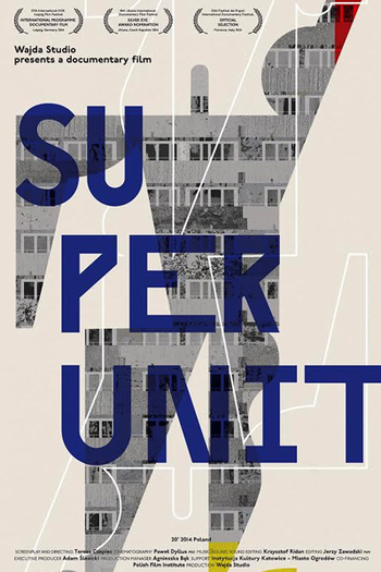 Poster de Curta Superunidade (2014)