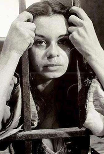 Julia Miranda - Poster / Capa / Cartaz - Oficial 1