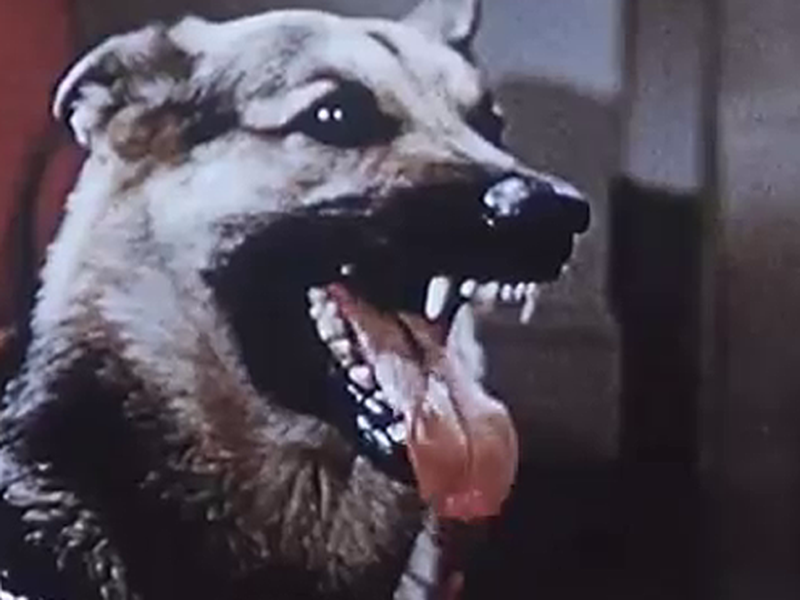 Foto 1 de Halloween Party