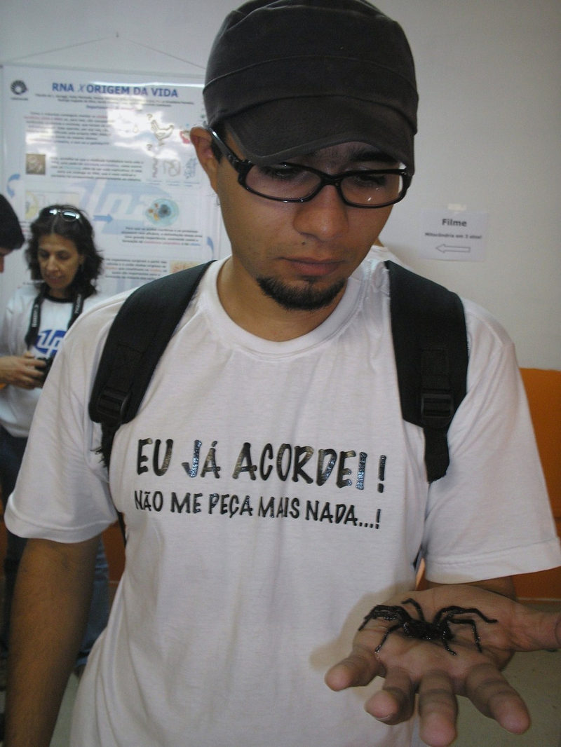 Paulo Rufino - Foto 5