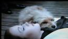 Oh! Heavenly Dog (1980) with Benji - Won't Give In