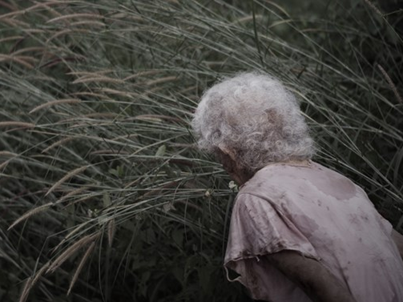 Foto 3 de Vanishing Point