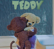 Alle helfen Teddy