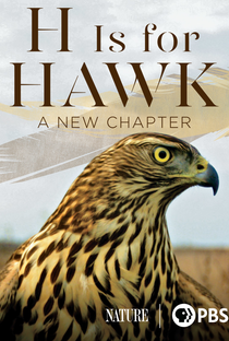 The BBC: Natural World - H is for Hawk: A New Chapter - Poster / Capa / Cartaz - Oficial 1