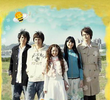 Honey and Clover
