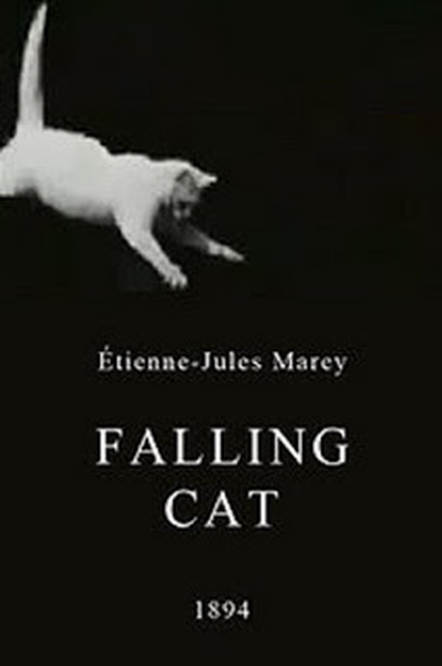 Falling Cat (1894)  - Crítica