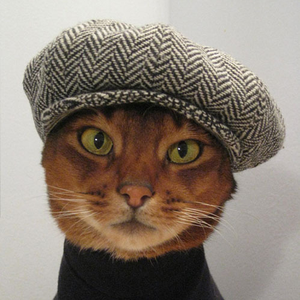 Foto de perfil de Laíz Sousa