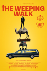 A Procissão do Lamento (Waarom Wettelen)