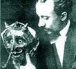 A Maldição de Fausto