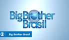 BBB 15: veja a abertura do reality show da Globo