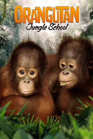 Poster 1 de Série Escola de Orangotangos (2018)
